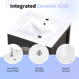 20" Bathroom Vanity with Sink, Bathroom Cabinet with Soft Closing Glass Door, A Drawer, Black N725P185457B