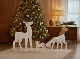 3-Piece Lighted Christmas Reindeer Family Set Outdoor Decorations, Weather Proof Deer Family Set of 49296917