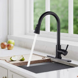 Pull Down Kitchen Faucet with Sprayer Stainless Steel Matte Black JYD3411MB