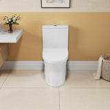 1.1/1.6 GPF Elongated Comfort Height Floor Mounted One-Piece Toilet, CUPC Certified, WaterSense B2724P246933