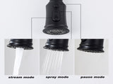 Kitchen Faucet with Pull Out Spraye 66599224