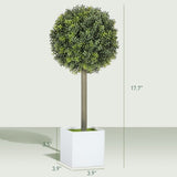 Artificial Plant/Green plants 81278399