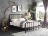 Classic Queen Platform Bed Dark Bronze Finish Metal Frame Bedroom Furniture 1pc B011P263747