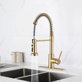 Pull Down Sprayer Spring Kitchen Sink Faucet Brushed Gold W122552138