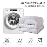 Two-pack of 100% polyester brushed single comforters with microfiber filling, down 81210315