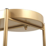 Modern Folding Metal 2-Tier Plant Stand Potted Plant Holder Shelf with 2 Round Trays Indoor Outdoor, W2181P155110