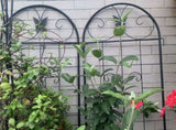 Metal Garden Trellis, 2 Pack Metal Trellis for Climbing Plants, Indoor/Outdoor Plant Trellis for W840P321535