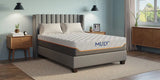 MLILY Fusion Supreme 11.5" Hybrid Luxury Mattress - Queen - Medium B194P269270