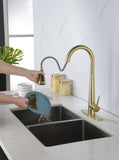 ZNTS Gold Kitchen Faucets with Pull Down Sprayer, Kitchen Sink Faucet with Pull Out Sprayer, Fingerprint K-4012-BG