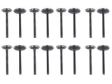 Intake & Exhaust Valve Kit Replacement for Toyota 4Runner T100 Tacoma 2.7L l4 DOHC 3RZFE 13711-75060 16861955