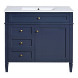 36'' Bathroom Vanity with Top Sink, Modern Bathroom Storage Cabinet with 2 Drawers and a Tip-out N710P230246C