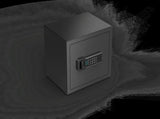 1.7 Cubic Foot Hidden Home Safe with Fingerprint & Digital Keypad Lock, Black, No Assembly Required 46207444