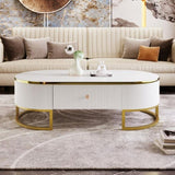 Modern Oval Coffee Table with Drawers,Curved Profile Design, Gold Metal Decor, Center Table for N735P192897K