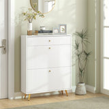 Shoe Cabinet/Shoe Storage Cabinet 85397946