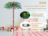 6ft Pre-Lit Christmas Palm Tree - 210 4-Color LEDs , 64 PVC Branch Tips 83410262