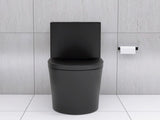 Matte Black Elongated One Piece Toilet Dual Flush 1.1/1.6 GPF Water Saving Map 1000g,Matte Black W2826P192009