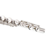 ZNTS Nickel Plated C Closed Hole Concert Band Flute with E Key 00240637