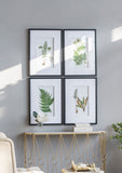 Set of 4 Botanical Black And White Fern Wall Art , Wall Decor for Living Room Dining Room Entryway, W2078130254