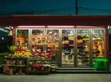 LED Neon Open Sign, Dimmable Business Store Front Light Sign with Controller & Hanging Chain, 85496558