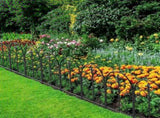 Decorative Garden Fence 10 Pack, 24in, Rustproof Metal Fencing, Arched 47654300