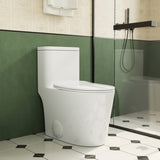 1.1/1.6 GPF Elongated Comfort Height Floor Mounted One-Piece Toilet , CUPC Certified, WaterSense B2724P246932