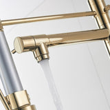 Commercial Kitchen Faucet with Pull Down Sprayer, Single Handle Single Lever Kitchen Sink Faucet W1932P172311
