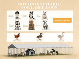 Dog Kennel Outdoor 44488501