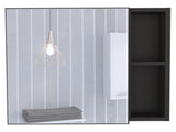 Myrick 2-Shelf Medicine Cabinet with Mirror Black Wengue B06280278