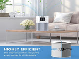 2Pack Air Purifier A1 Replacement Filter H13 True HEPA Air Cleaner Filter 10330291