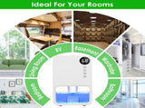 Small Household Dehumidifier for Bathroom Closet RV, RealTime Humidity Readout, 1.1L Tank Auto 84675922