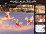 3 Pieces Lighted Christmas Reindeer Christmas decoration 09178562