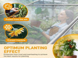 6x10ft Hybrid Polycarbonate Greenhouse Silver 17543240