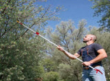 4.27-7.55 FT Long Reach Pruner for Garden, Cut & Hold Telescopic Pole Pruner, Fruit Picker Tree 36653514