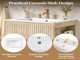 24-Inch Wall-Mounted Bathroom Vanity with Ceramic Sink, 2-Door Cabinet, U-Shaped Adjustable N729P512888N
