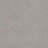 Beige Tufted Upholstered Queen Panel Bed B062P145551