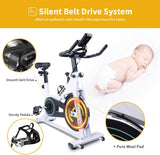Stationary Bikes Home Spin Indoor Exercise Bike with LCD Monitor and Comfortable Seat Cushion T3060P290747