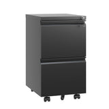 2 Drawer Metal Mobile File Cabinet, Rolling File Cabinet with Lock for Hanging Legal/Letter/A4 80070490