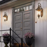 Vintage Outdoor Lantern, Weatherproof Exterior Sconce Light with Clear Glass Shade, Waterproof W1340P209947