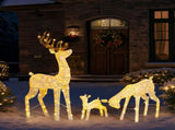 3-Piece Lighted Christmas Reindeer Family Set Outdoor Decorations, Weather Proof Deer Family Set of 49296917
