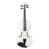 ZNTS New 4/4 Acoustic Violin Case Bow Rosin White 23313207