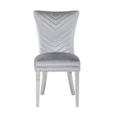 ZNTS Eva 2 Piece Stainless Steel Legs Chair Finish with Velvet Fabric in Silver 733569295678