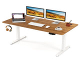 Walnuttop White Frame 55" Electric Standing with Dual Motors, 3 Memory Settings Sit-Stand 12608046