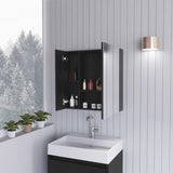 Sines Medicine Cabinet, Four Internal Shelves, Double Door -Black B20092110