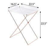 ZNTS Clear and Copper Tray Table with Removable Tray B062P181412