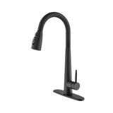 ZNTS Kitchen Faucet with Pull Down Sprayer W2287142002