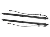 Pair Electric Tailgate Trunk Lift Support Fit For Hyundai Santa Fe Sport 2015-2018 24201584