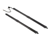 2x Rear Tailgate Lift Support Replacement for Honda Pilot 16-17 74961-TG7-315 74981-TG7-315 29404371
