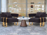 TS Modern decorative chair, living room side chair with gold metal legs, no wheels, suitable for 63970822