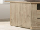Elara 22"W Light Oak Finish 2-Drawer Nightstand Bedside Table with USB Charging Ports B061P360309