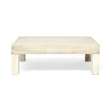 ZNTS OANA/BRAVA COFFEE TABLE 64496.00LGRY